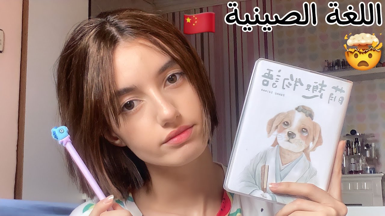 أشياء لازم تعرفوها لتعلم اللغة الصينية 🇨🇳 | هل الصينية فعلا فيها أكثر من خمسين الف رمز ؟