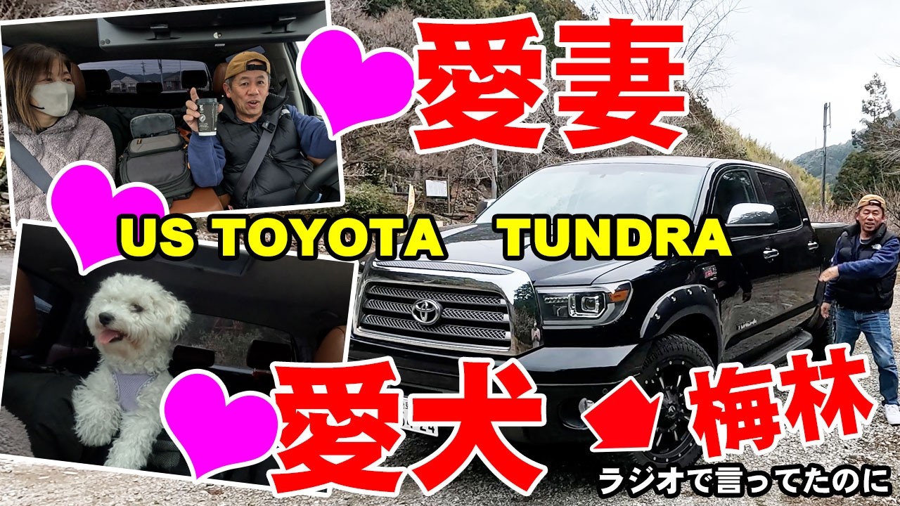 タンドラでドライブ、ミニチュアシュナウザーとビションフリーゼ　徳島県阿南市の明谷梅林