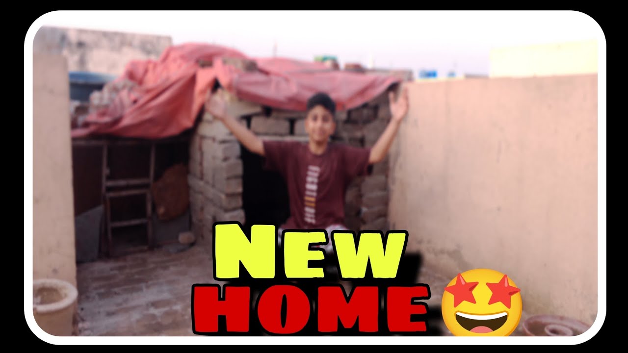 New home for hens🤩😄