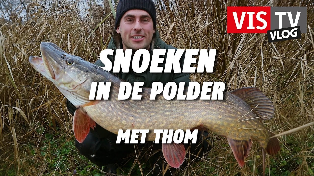 Snoeken in de polder met Thom - VIS TV Vlog #10