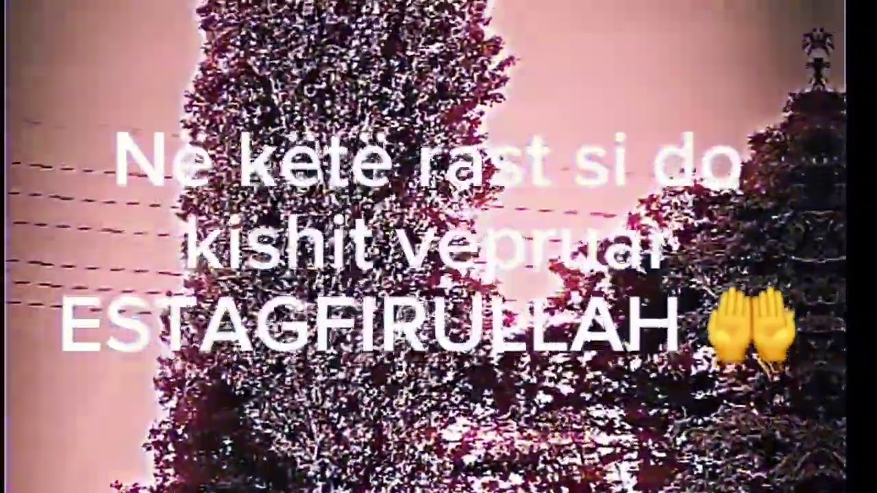 Si do te kishit vepruar ju 😔