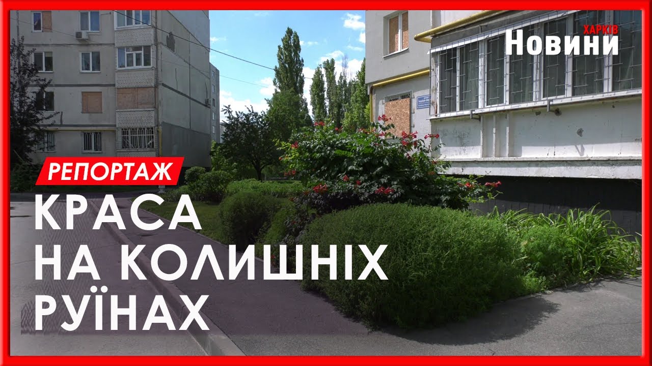 На місцях колишніх руїн створюють красу. Як працюють двірники та озеленювачі на Північній Салтівці