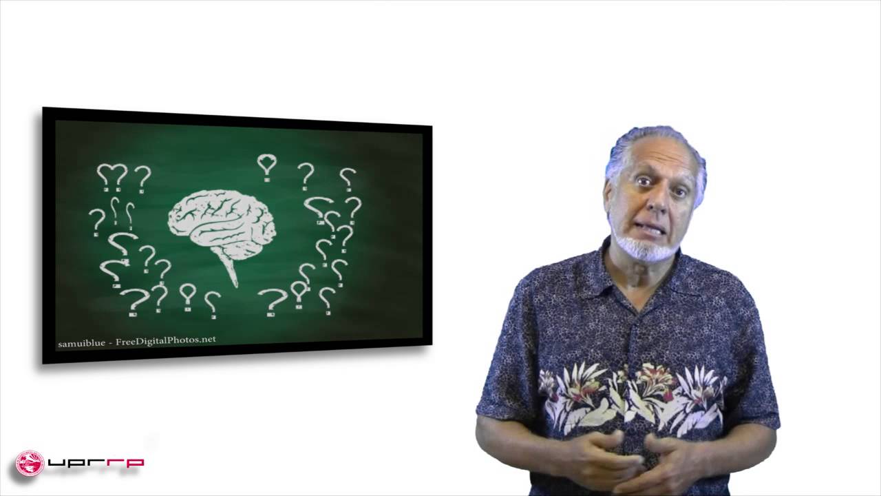 Modulo 4: Interactividad