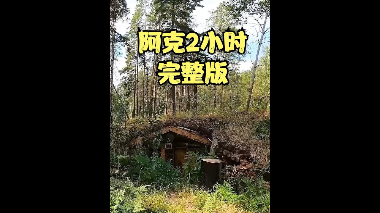 男人只想在野外修房子住一个冬天，没想到直接住了两年半 #野外生活 #野外露营 #解压