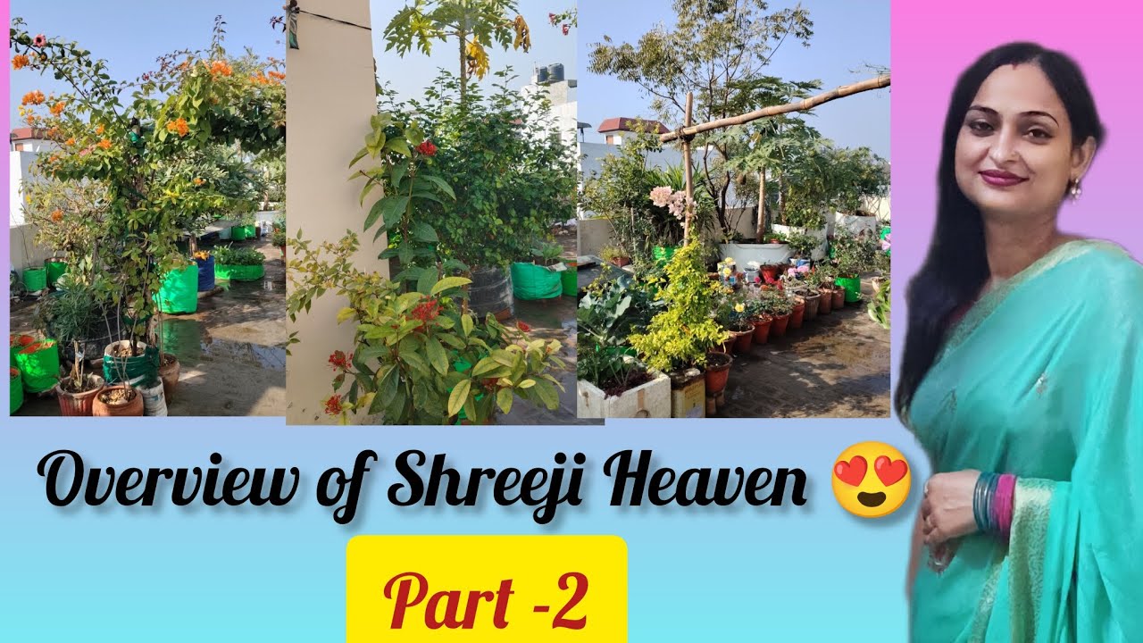 Обзор сада Шриджи Хейвен 😍 часть 2 || #вирусное #террасныйсад #садоводство