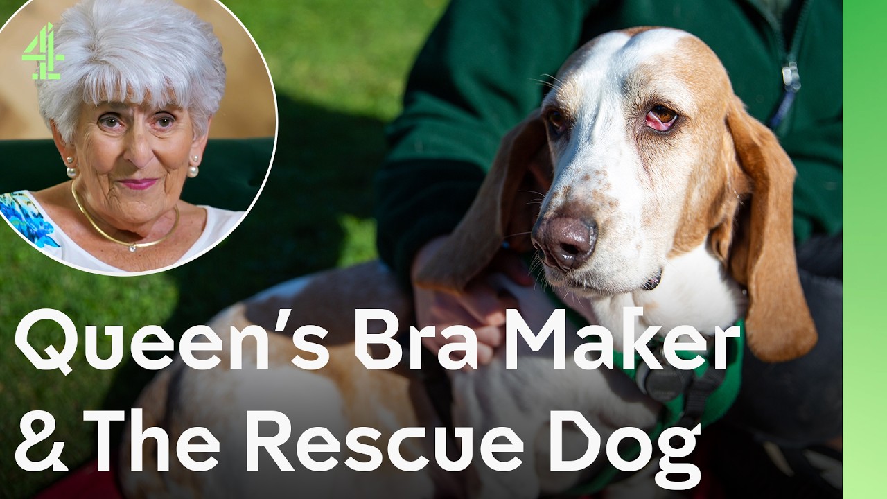 The Queen's Bra Maker and the Rescue Dog  | The Dog House 🐶 | Dog Stories