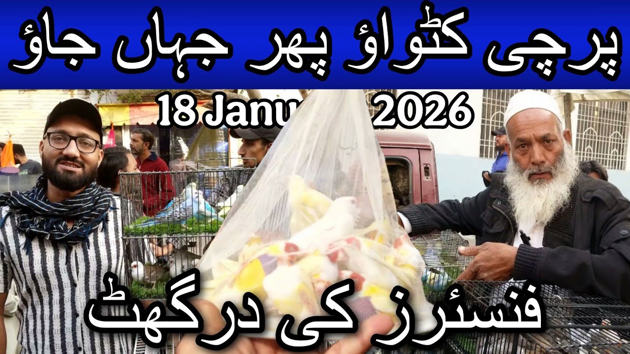 Lalukhet birds market part 2 18 January 2026 | Cheapest price birds market in Karachi Pakistan