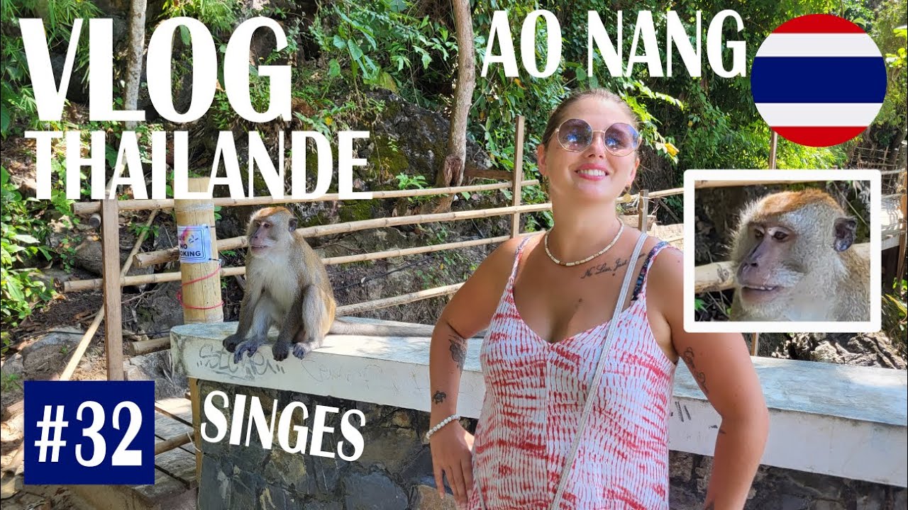 Exploration du Monkey Trail à Ao Nang : Une Randonnée Aventurière au Milieu de la Nature !