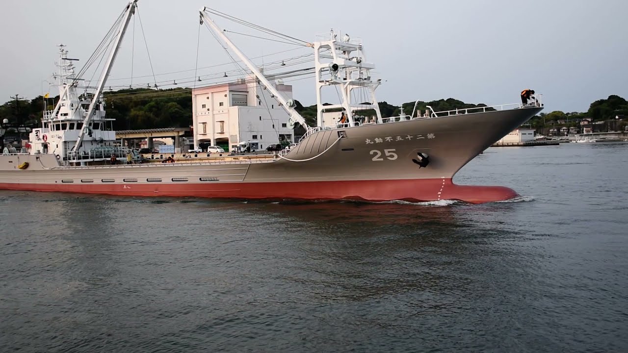 Round haul net fishing boats　围网渔船的航行　2021年5月　まき網漁船団出漁