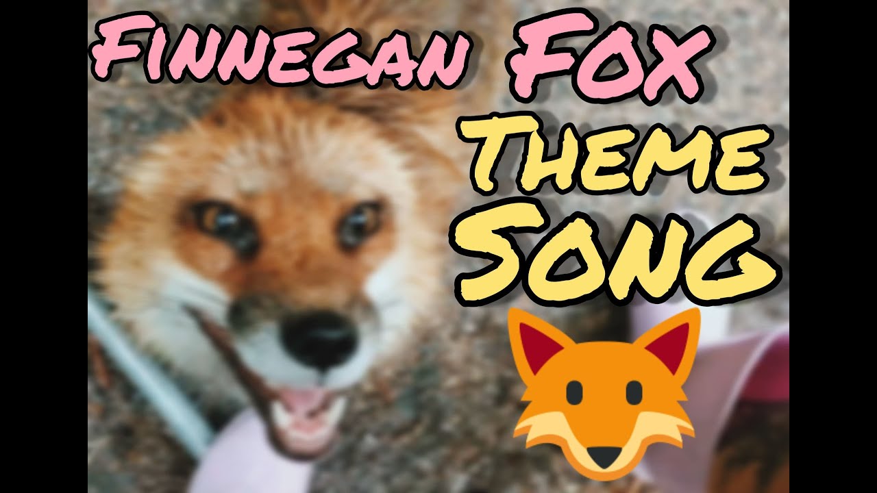 Finnegan Fox Theme Song!