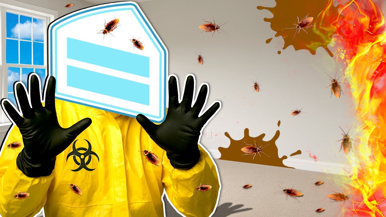 I became a BUG Exterminator and it was a Disaster!