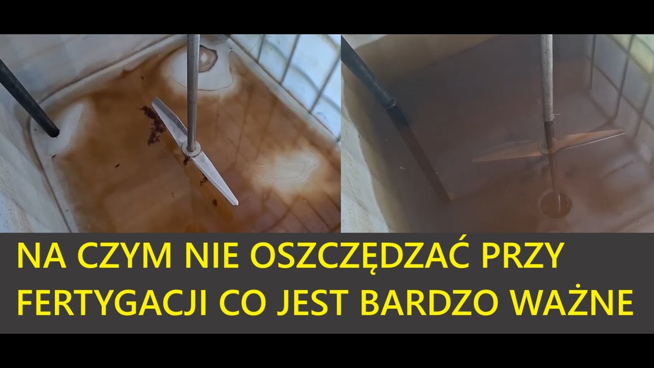 Fertygacja w Borówce Na czym Nie Oszczędzać i co Jest Bardzo WAŻNE a Takie się nie Wydaje