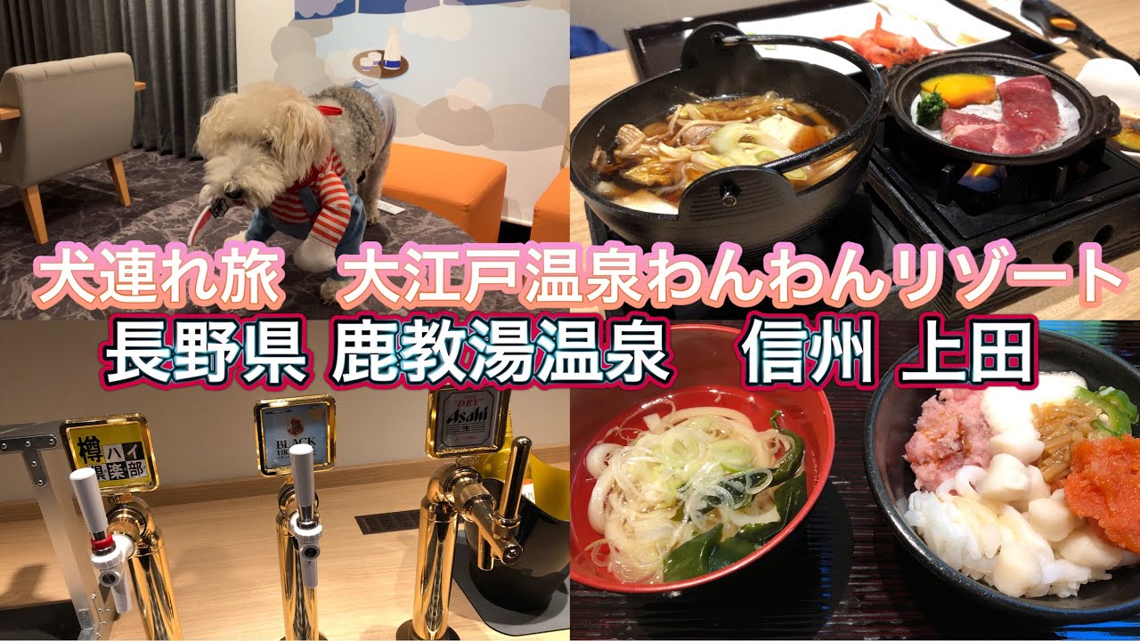 【犬連れ旅】 大江戸温泉わんわんリゾート信州上田 長野県鹿教湯温泉で「わんこファースト」の１泊旅行 ラウンジで生ビールが飲み放題 朝夕のビュッフェで満腹 平日でも行列ころぼっくるひゅって