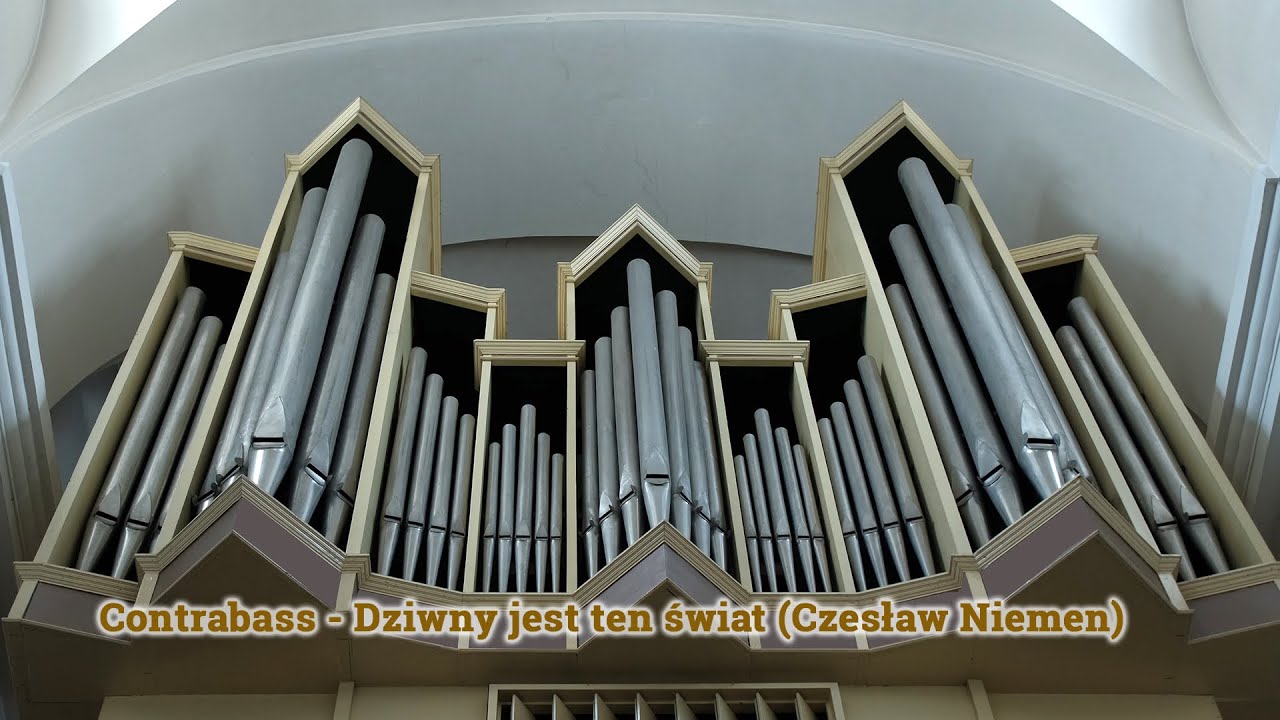 Czesław Niemen - Dziwny jest ten świat (Contra Bass cover) #czesławniemen #Dziwnyjesttenświat