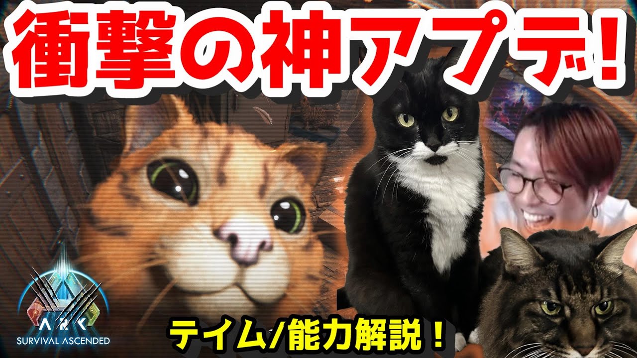 ARKに新生物「猫」実装！生息域/テイム方法/能力解説していくぞ！ガチ有能生物！【ASA/ARK 実況 ARK: Survival Ascended KTRGaming】