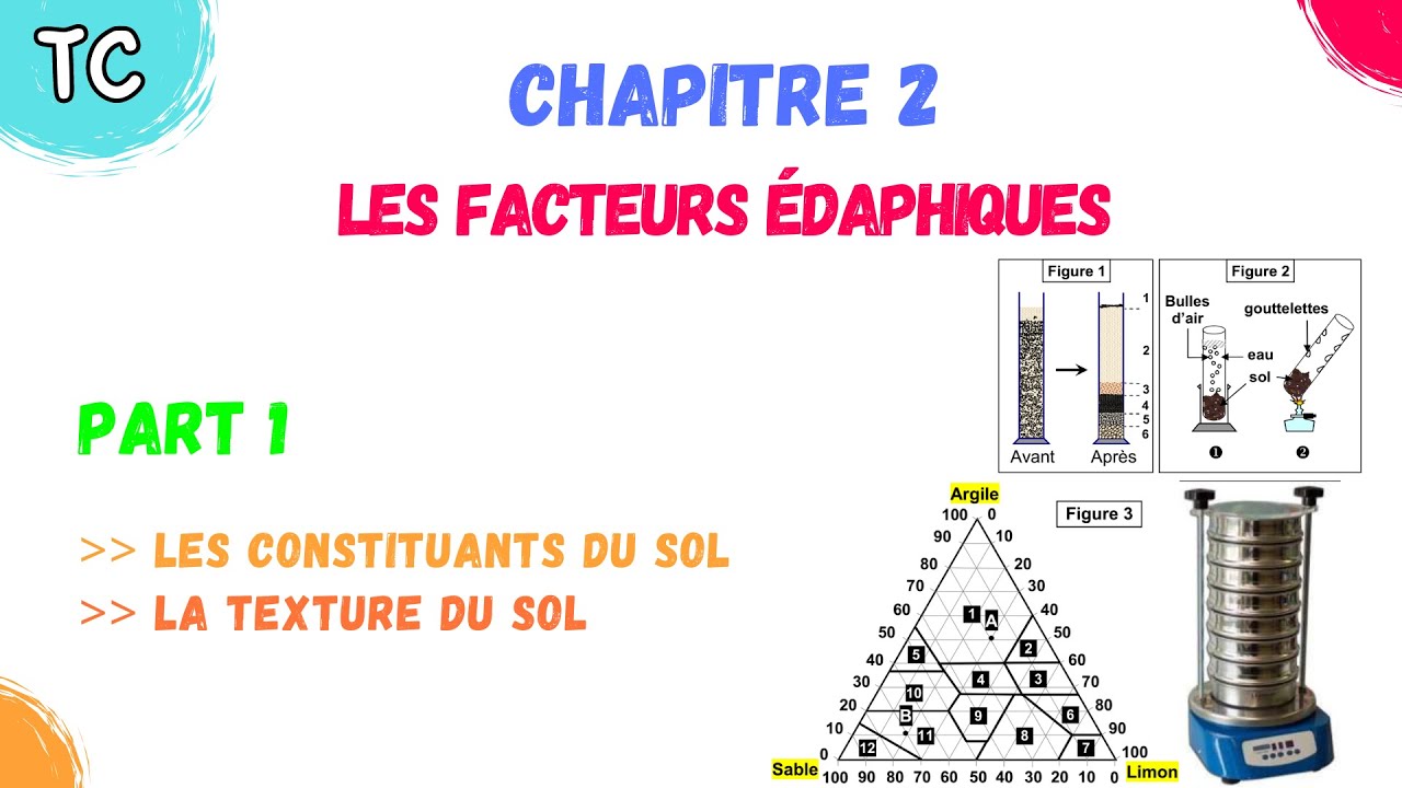 TC SVT | Chap 2: Les Facteurs édaphiques | part 1:constituants du sol & La texture du sol + exercice