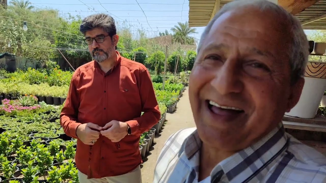 برفقة عشاق الزراعة جولة في مشتل الحطاب العراق 🇮🇶 بابل