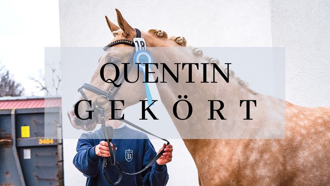 GEK&Ouml;RT! - Quentins K&ouml;rung
