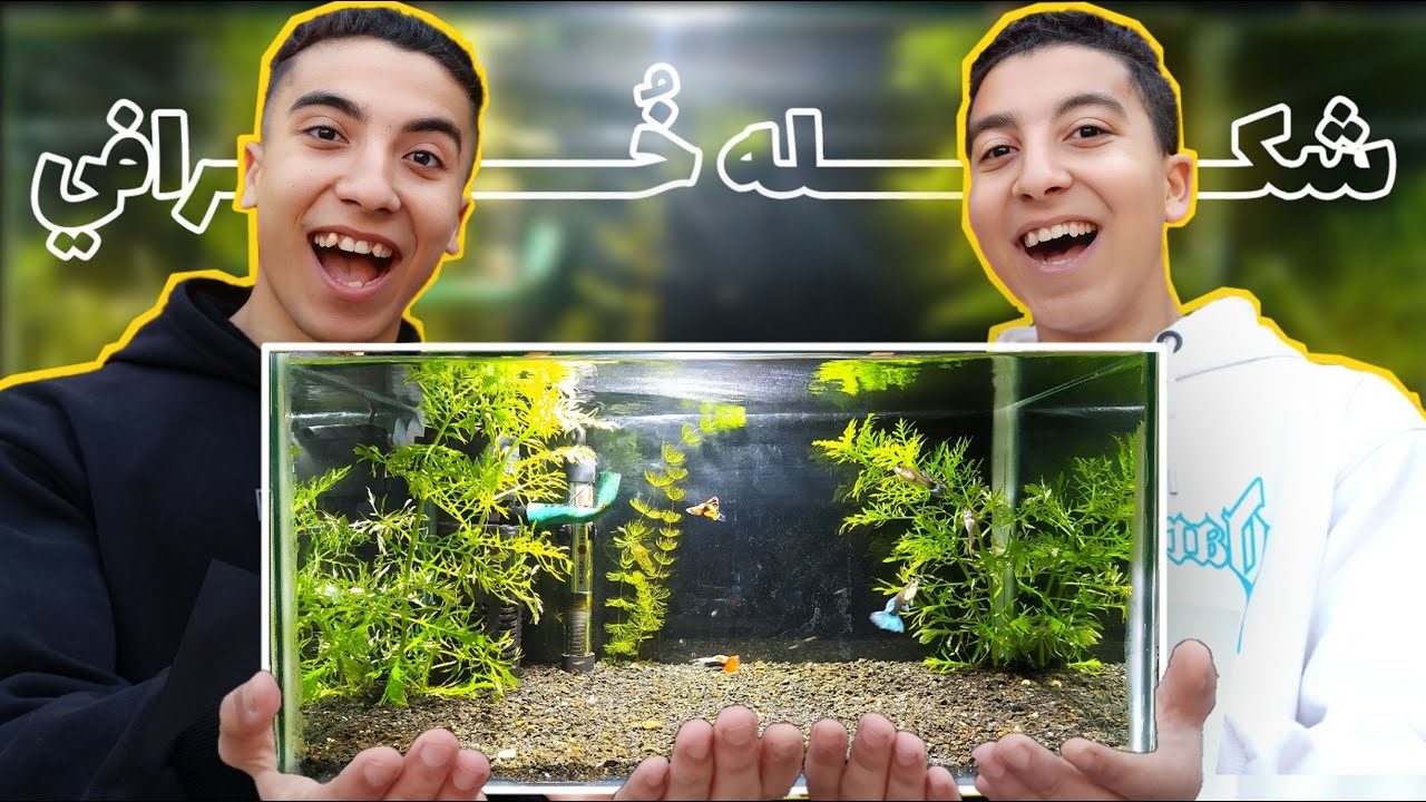 Мы сделали самый мощный низкотехнологичный аквариум для гуппи🐠🌿