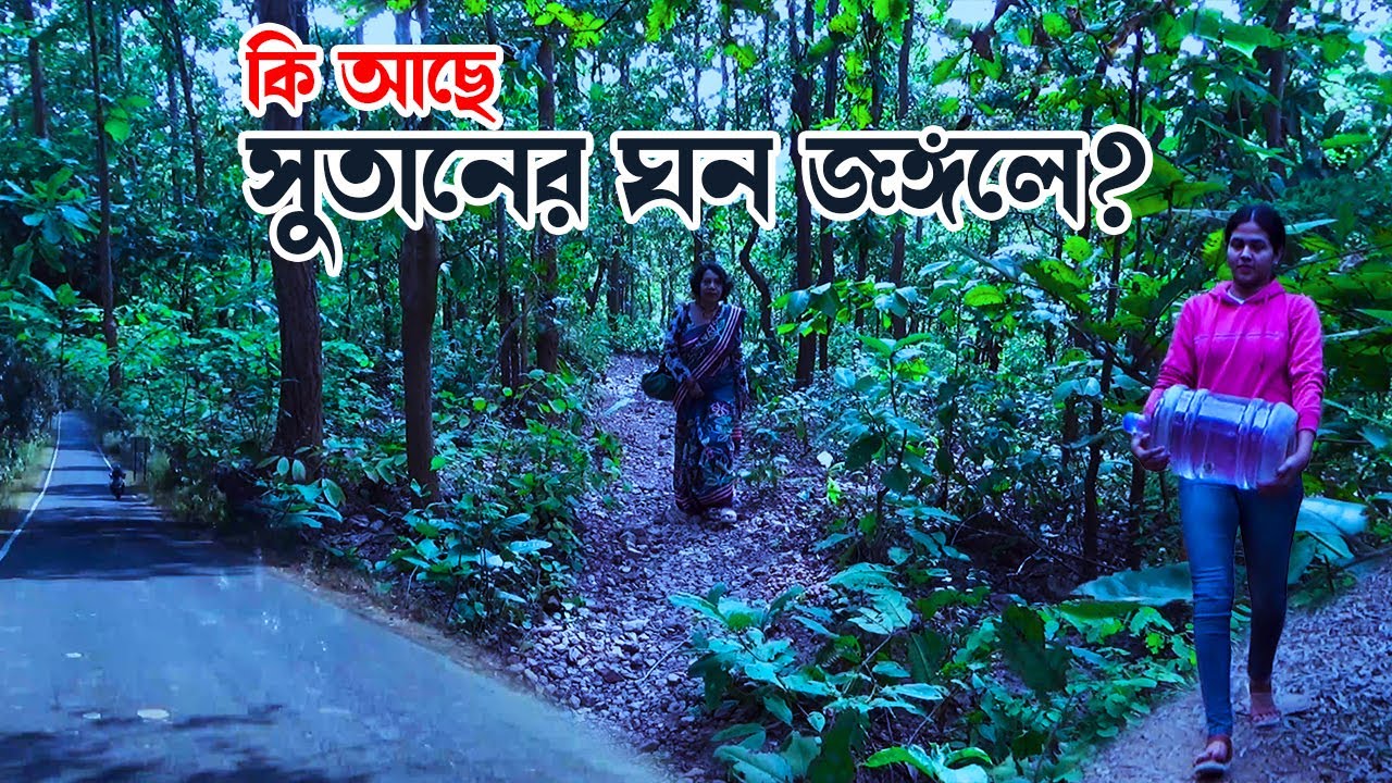 What to do in Sutan Forest [Jhilimili] Bankura: Your Ultimate Guide to Adventure! (Part-5)