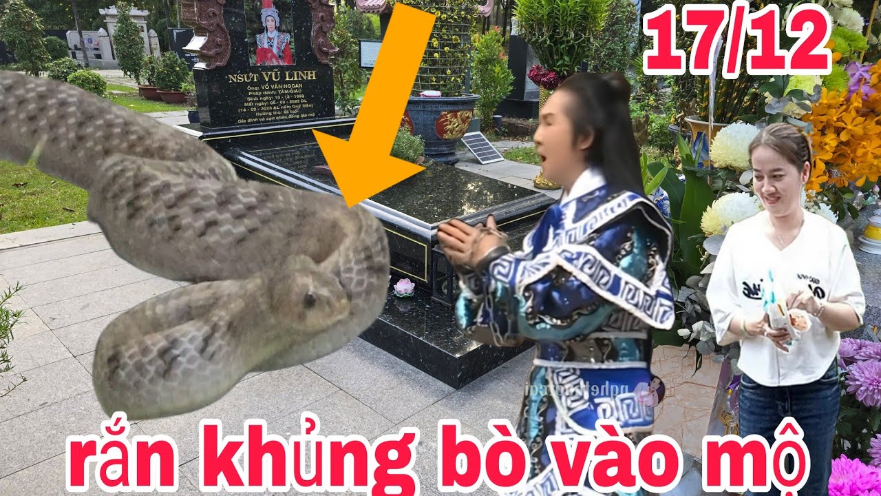 Đáng sợ rắn khủng lồ bò vào mộ nsut vũ linh còn Phùng mang có chuyện gì đến  xảy ra  không 