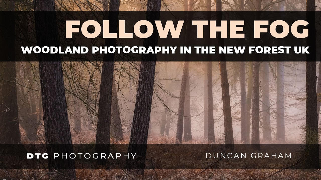 Follow the Fog | Landscape Photography in the fog in The New Forest