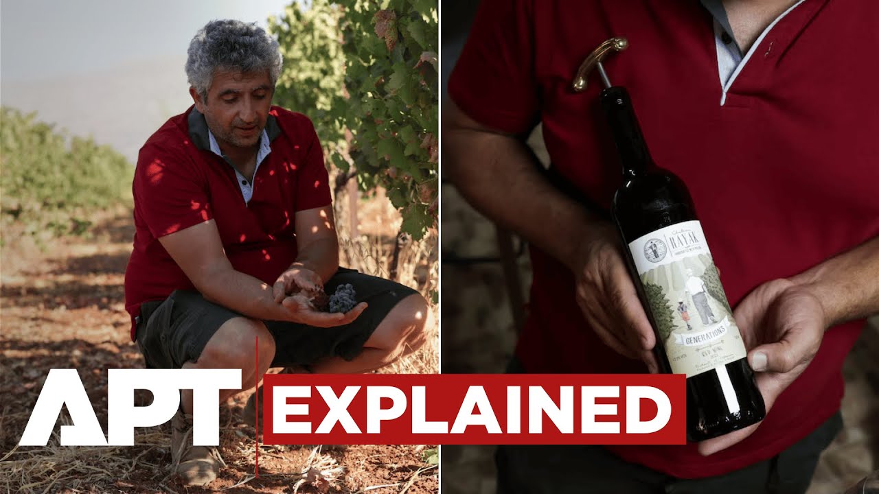 From Bombs to Drought: How One Lebanese Winemaker Fights to Preserve Six Generations of Wine | APT