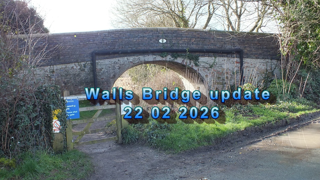 walls bridge update 22 02 2026