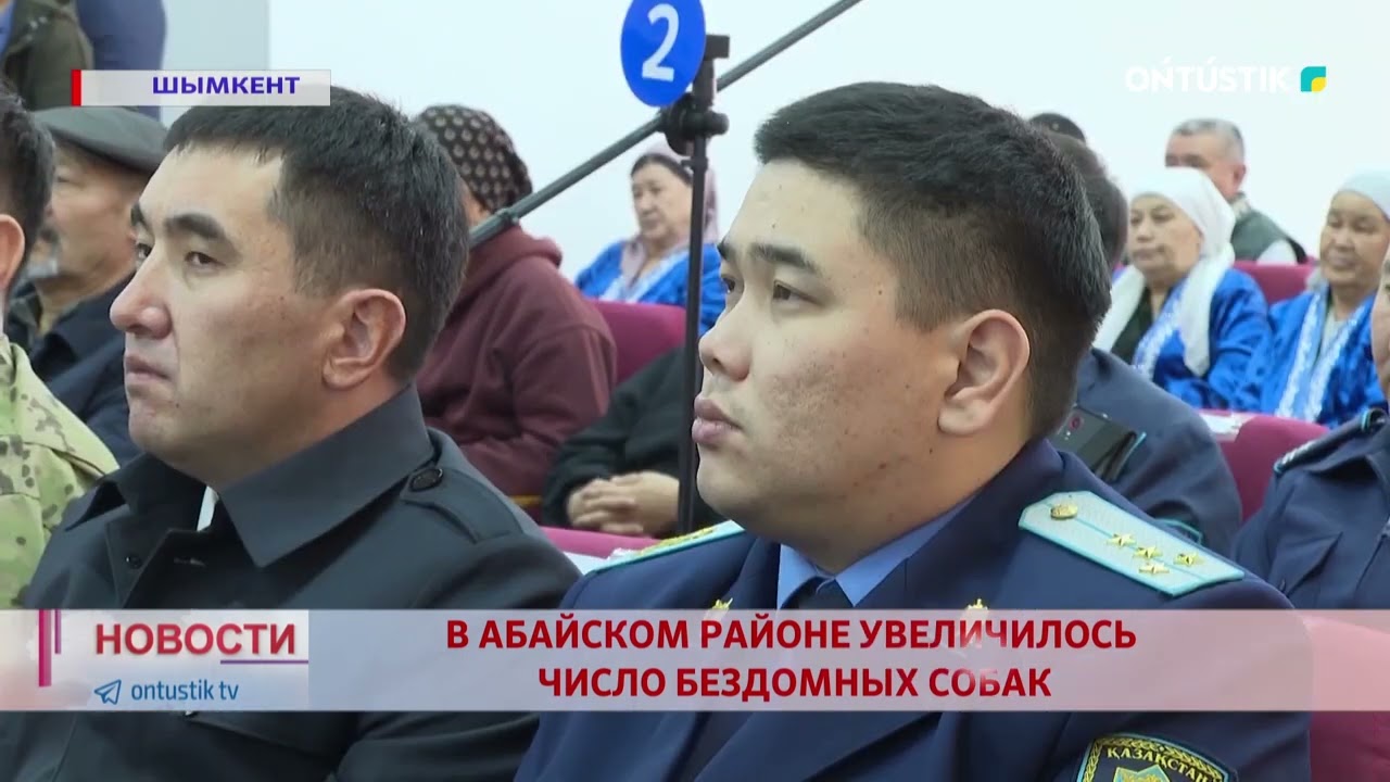 В АБАЙСКОМ РАЙОНЕ УВЕЛИЧИЛОСЬ ЧИСЛО БЕЗДОМНЫХ СОБАК