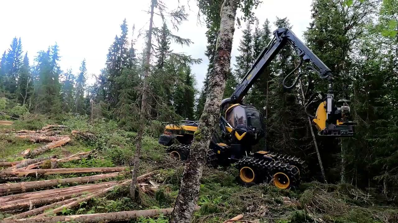 Ponsse Scorpion King H7 timelapse in Norwegian forest
