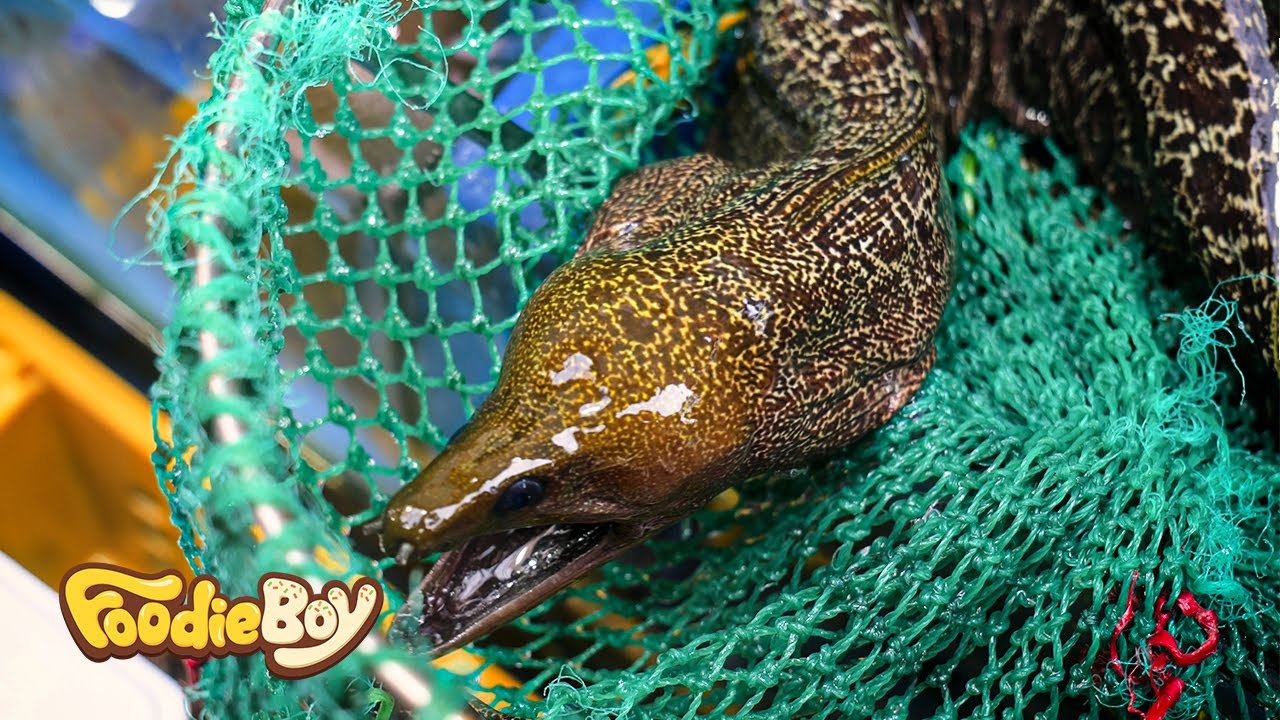 Вьетнамские морепродукты, уличная еда!! Жареная мурена и рыба Фрид