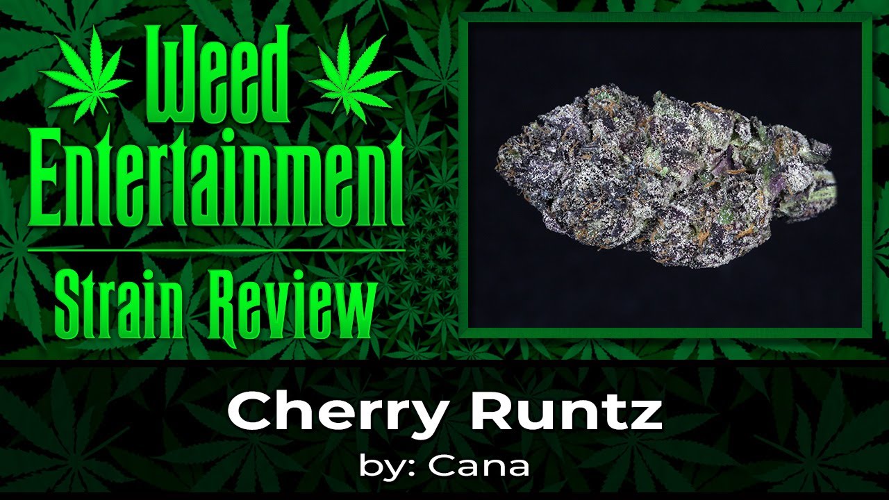 Cherry Runtz - by Cana - Strain Review - March 2023
