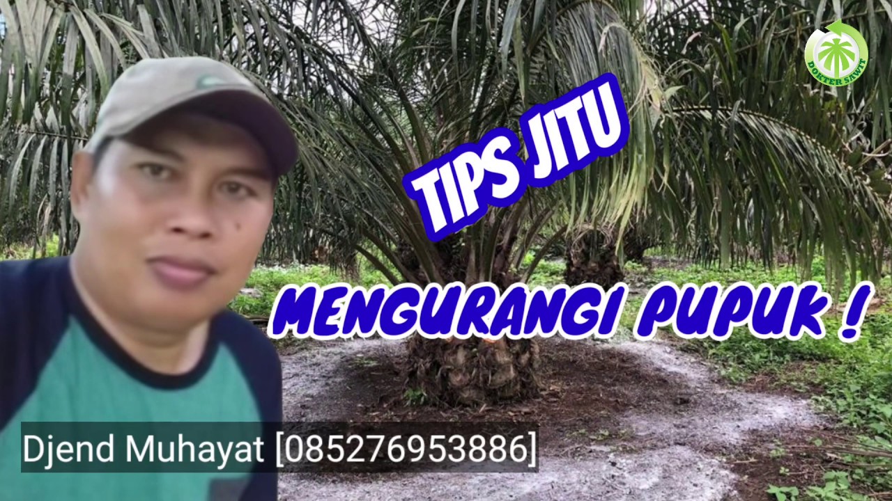 Tips Jitu Mengurangi Pupuk !