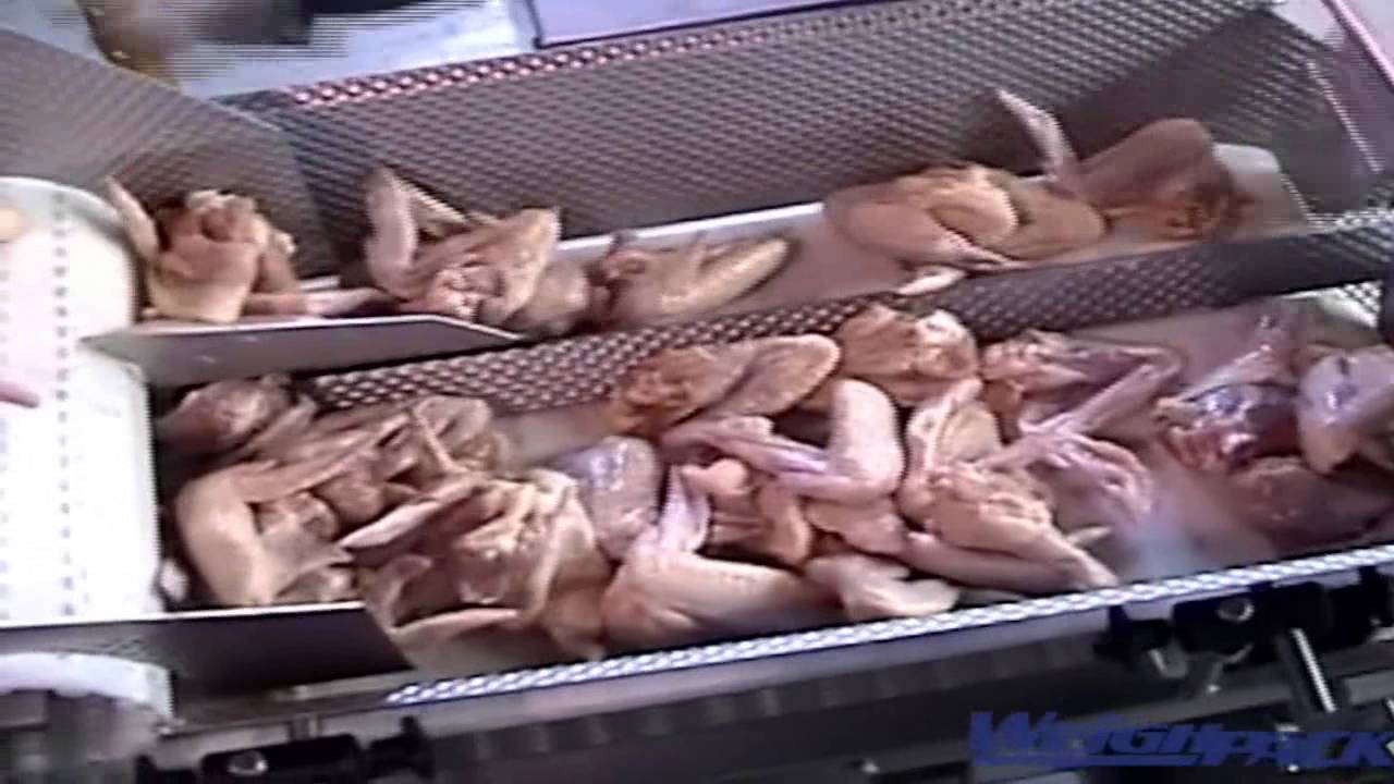 PrimoLinear conveyorized weigh filling machine for raw chicken wings