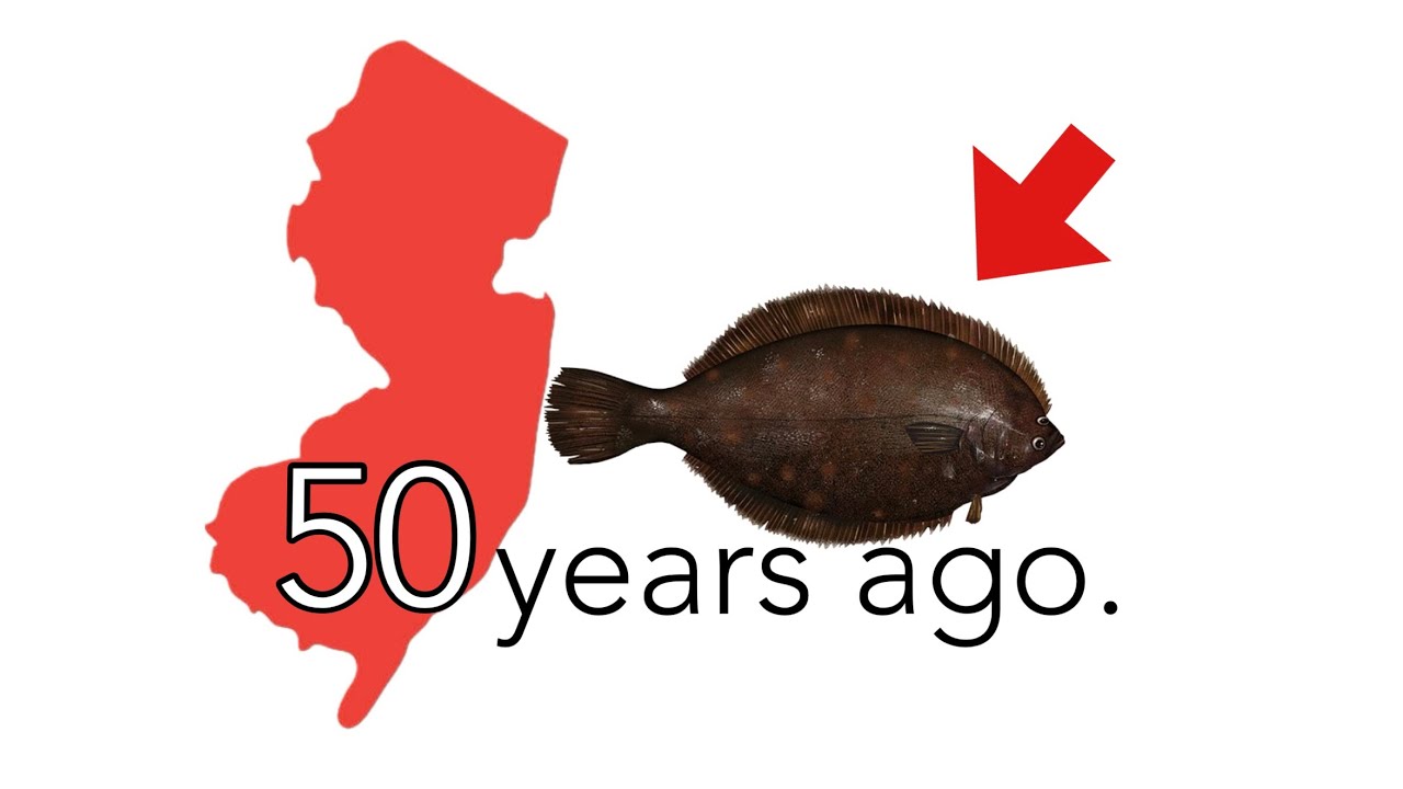 Каким был рыбный промысел в Нью-Джерси 50 лет назад?