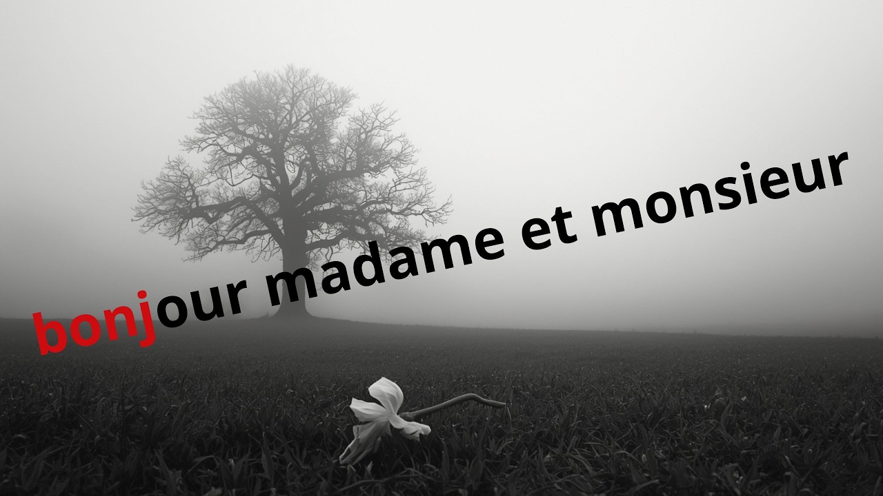 bonjour madame et monsieur