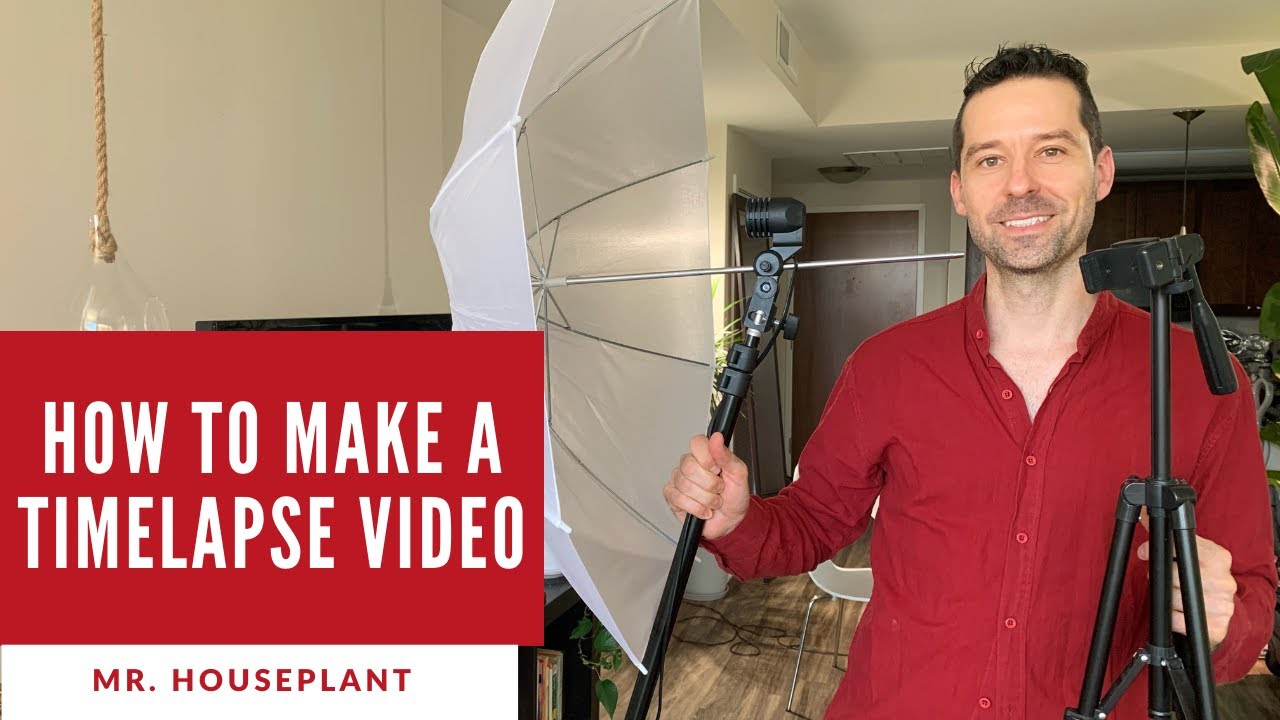 How to make a time lapse of a plant growing