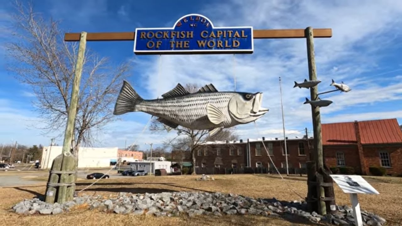 Shad & Rockfish Updates Now, Weldon Boat Ramp, Roanoke river, Rockfish Capital of the World.
