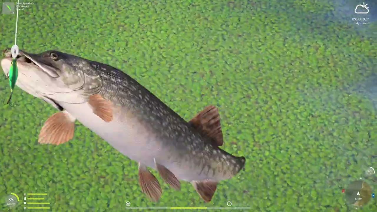 Pike Szczupak Old burg  (488) | Russian Fishing 4