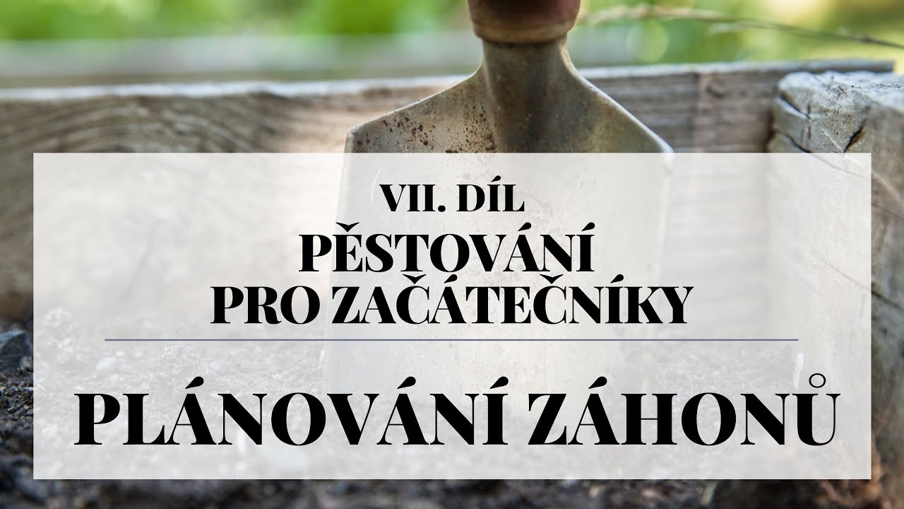 Plánování záhonů - Pěstování pro začátečníky 7. díl