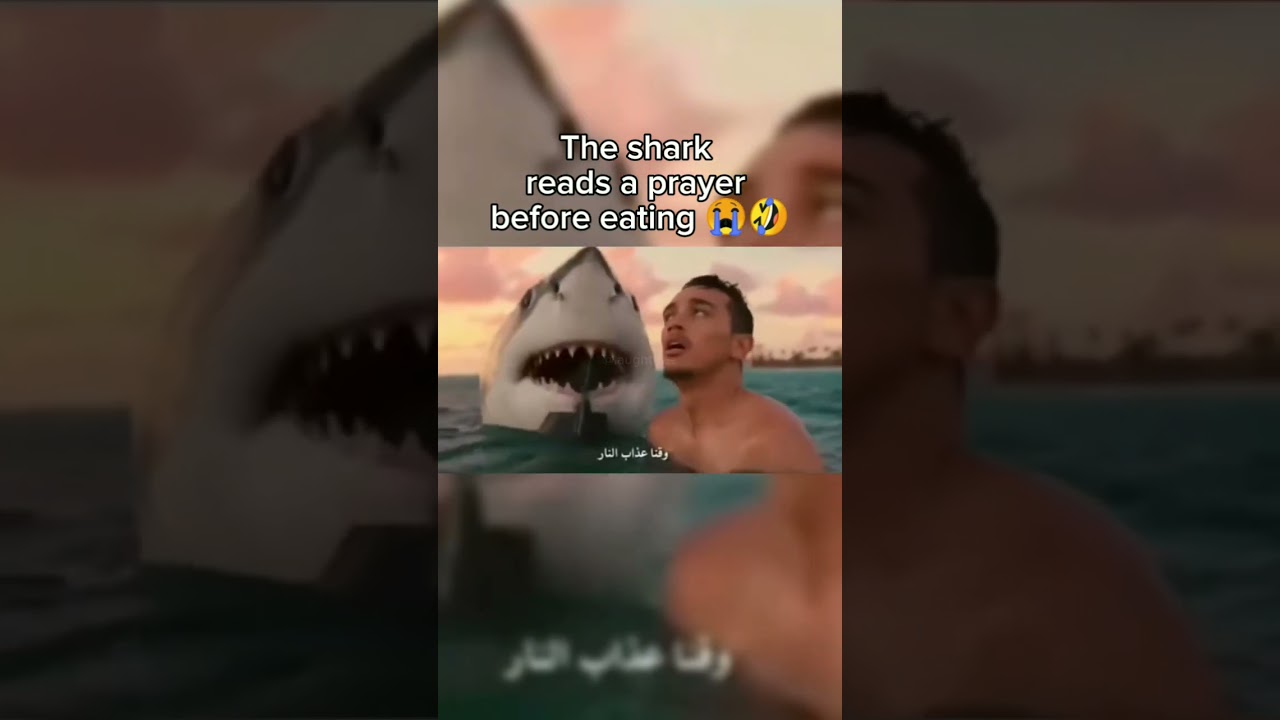 The shark reads a prayer before eating 😭🤣 