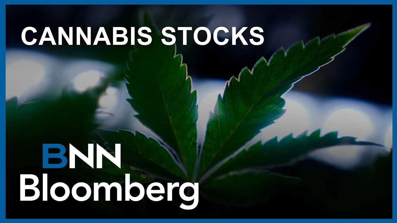 Hot Picks in cannabis stocks