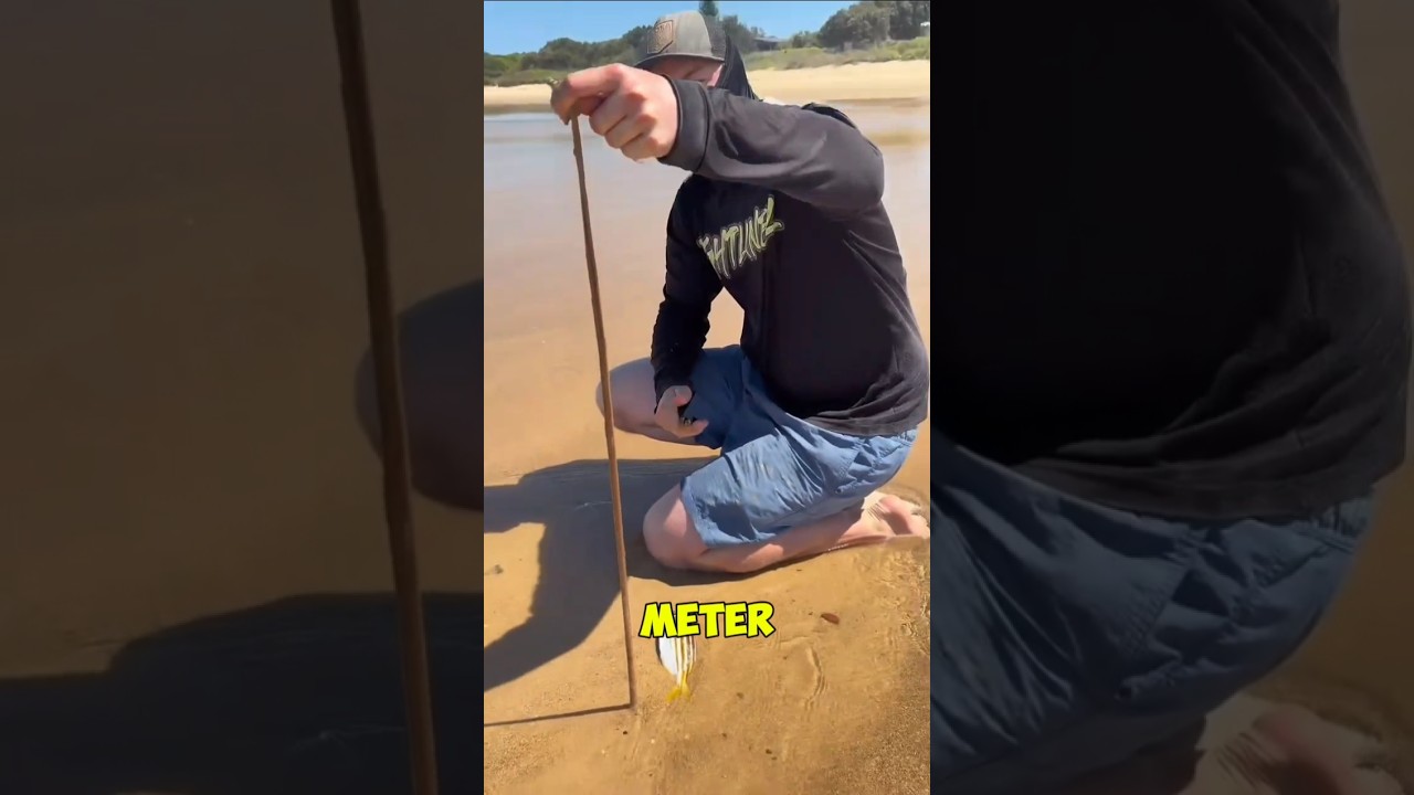 3 Meter Panjangnya! Inilah Cacing Laut Paling Sadis di Dunia! 😨