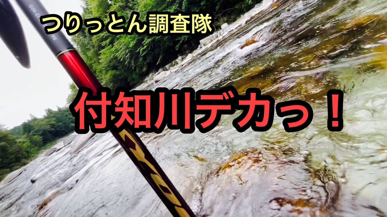 付知川に行ったら、デカかった！