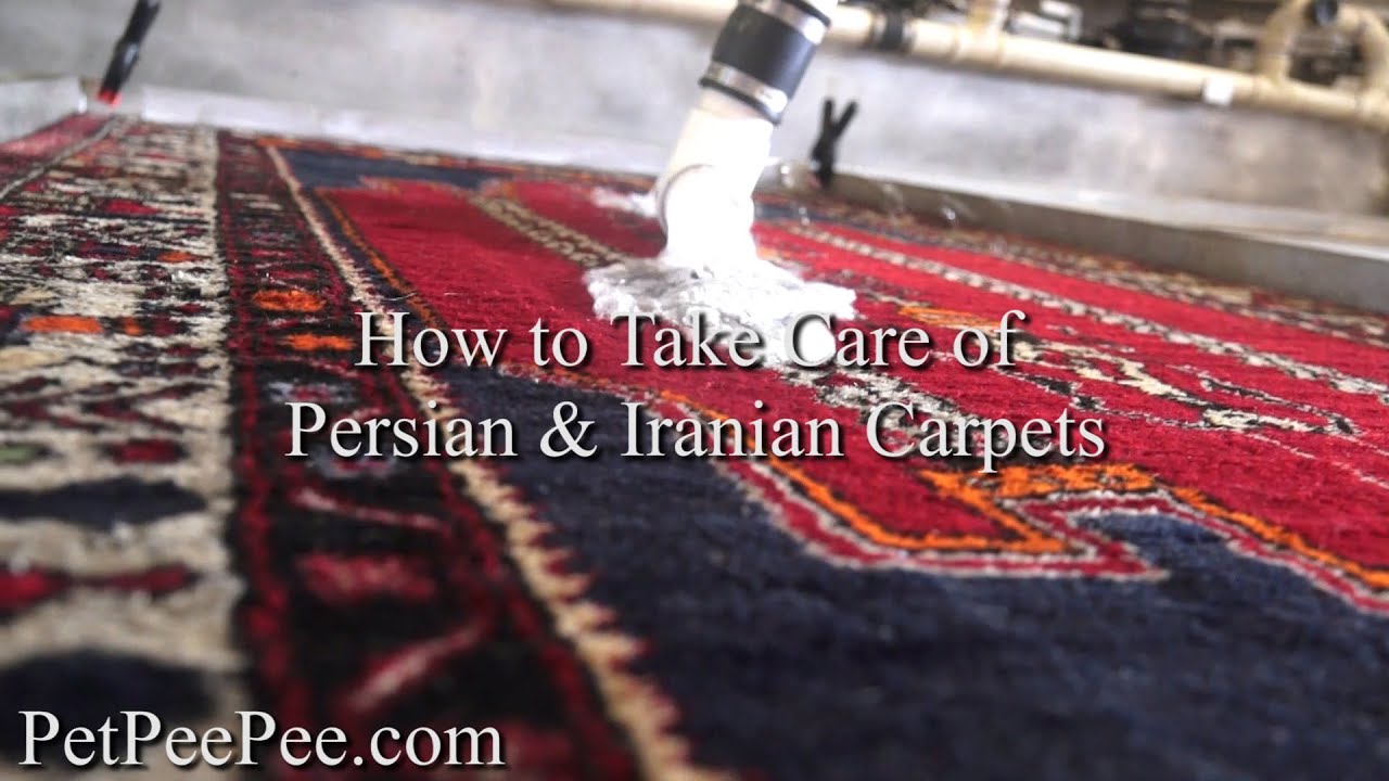How Do You Clean Expensive Oriental Rugs | PetPeePee&reg;