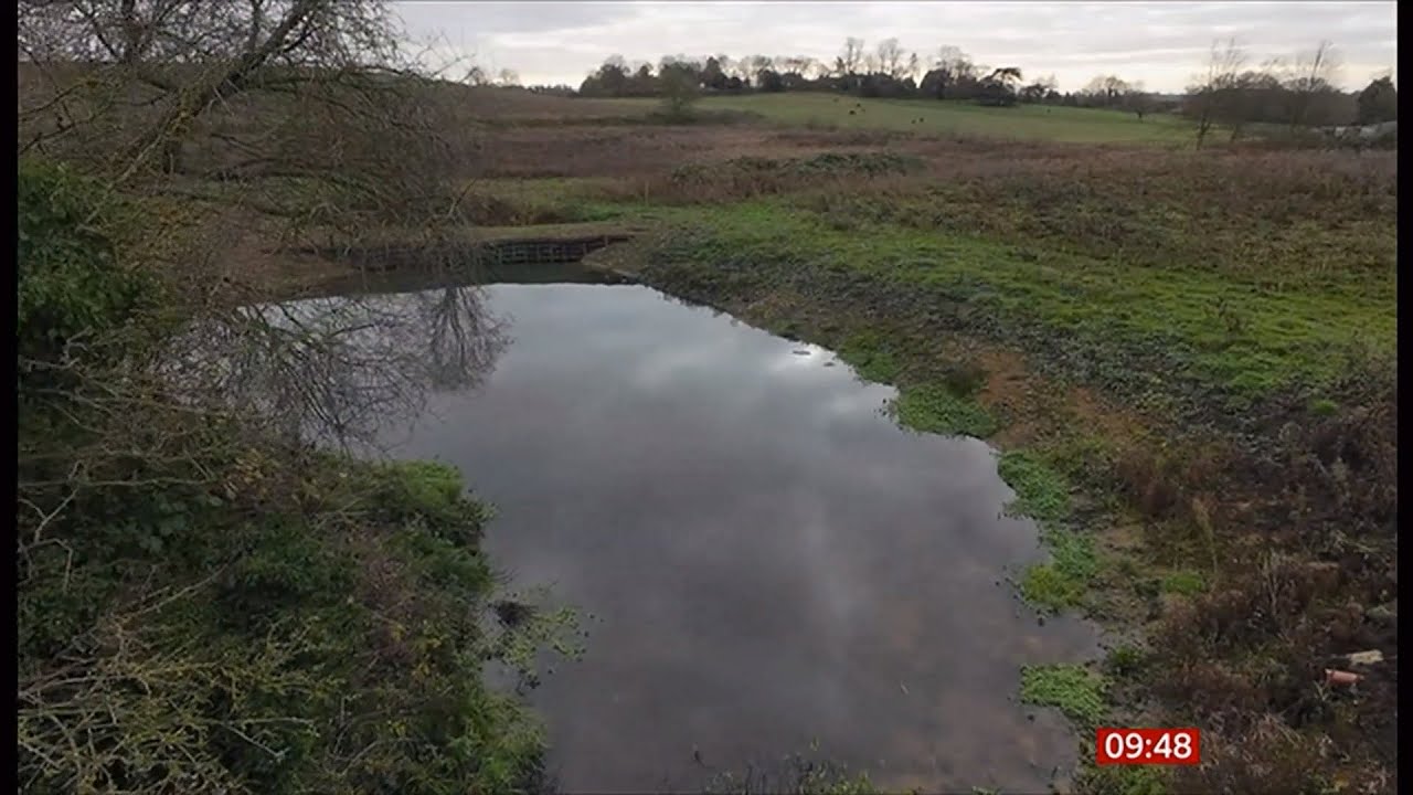 Hundreds of 'lost ponds' restored on Essex farms (UK) 4/Jan/2025