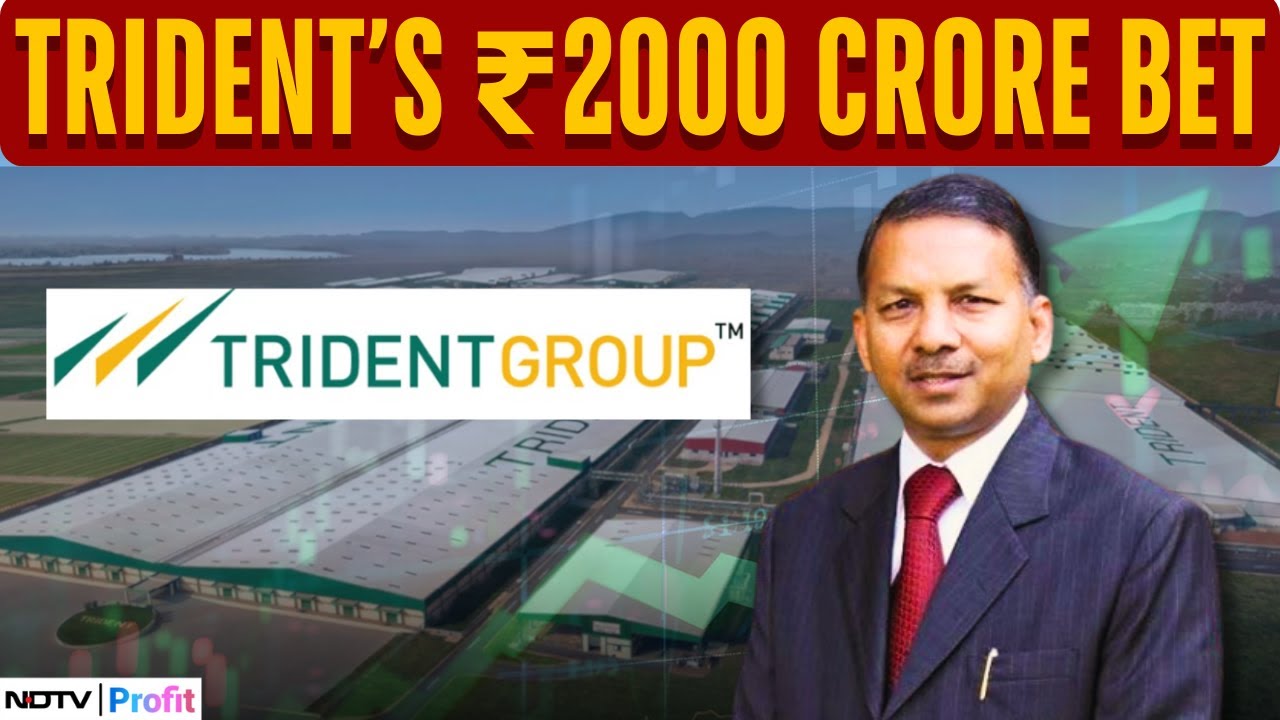 Margins Hit, Not Revenues: Trident's Big Shift to Domestic Market & Rs. 2000 Cr Vision Plan