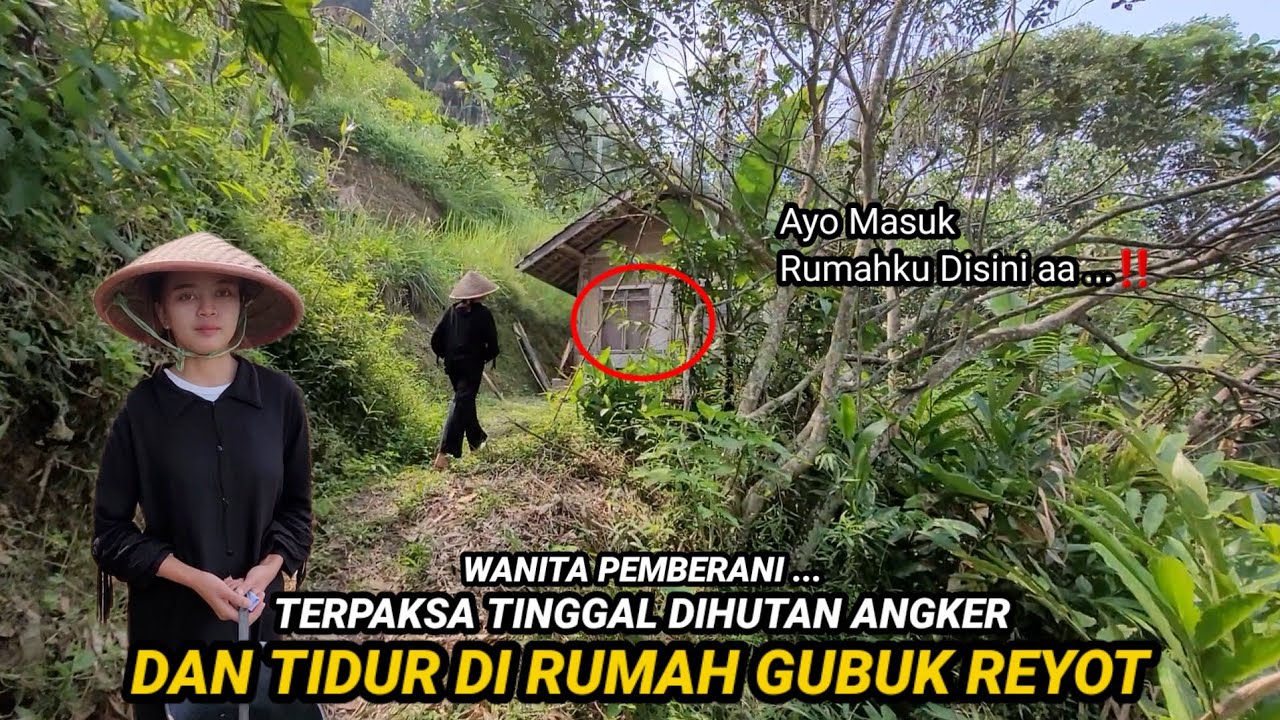 DI LUAR DUGAAN!! ADA WANITA PEMBERANI YANG TINGGAL DI RUMAH GUBUK REYOD TENGAH HUTAN JAWA BARAT