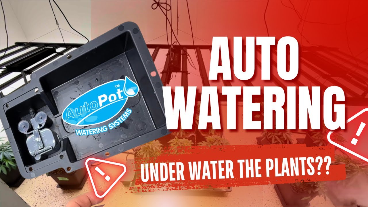 Before You Buy AutoPots&hellip; Watch This (Mistakes, Tips & Setup Guide)