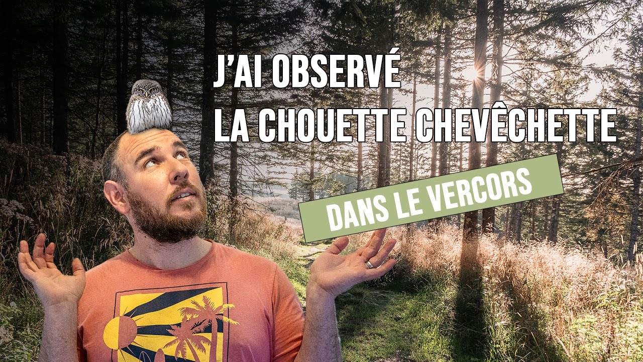 Observation de la chouette Chevêchette dans le Vercors avec Luca Melcarne